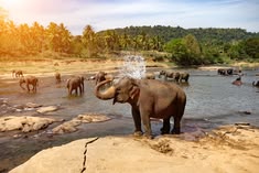 Sri Lanka