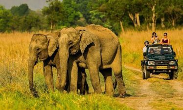 Jim Corbett