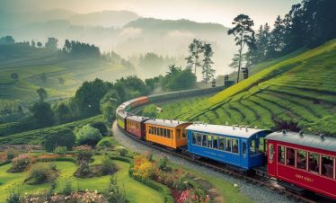Coorg + Mysore + Wayanad