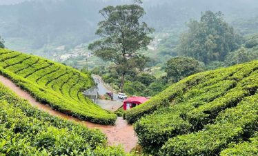 Ooty + Coonoor + Kodaikanal